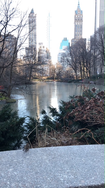 A beautiful view at Central Park!