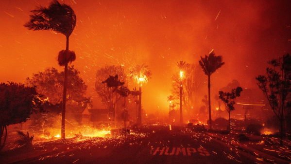 Ecological Spotlight: The California Wildfires